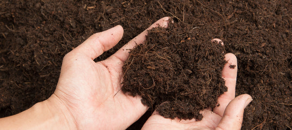 How To Create Healthy Soil For Gardening - The Diggers Club