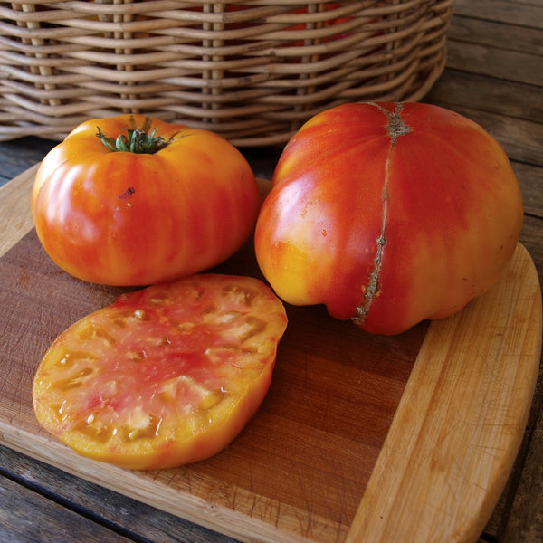 Tomato Big Rainbow Organic The Diggers Club