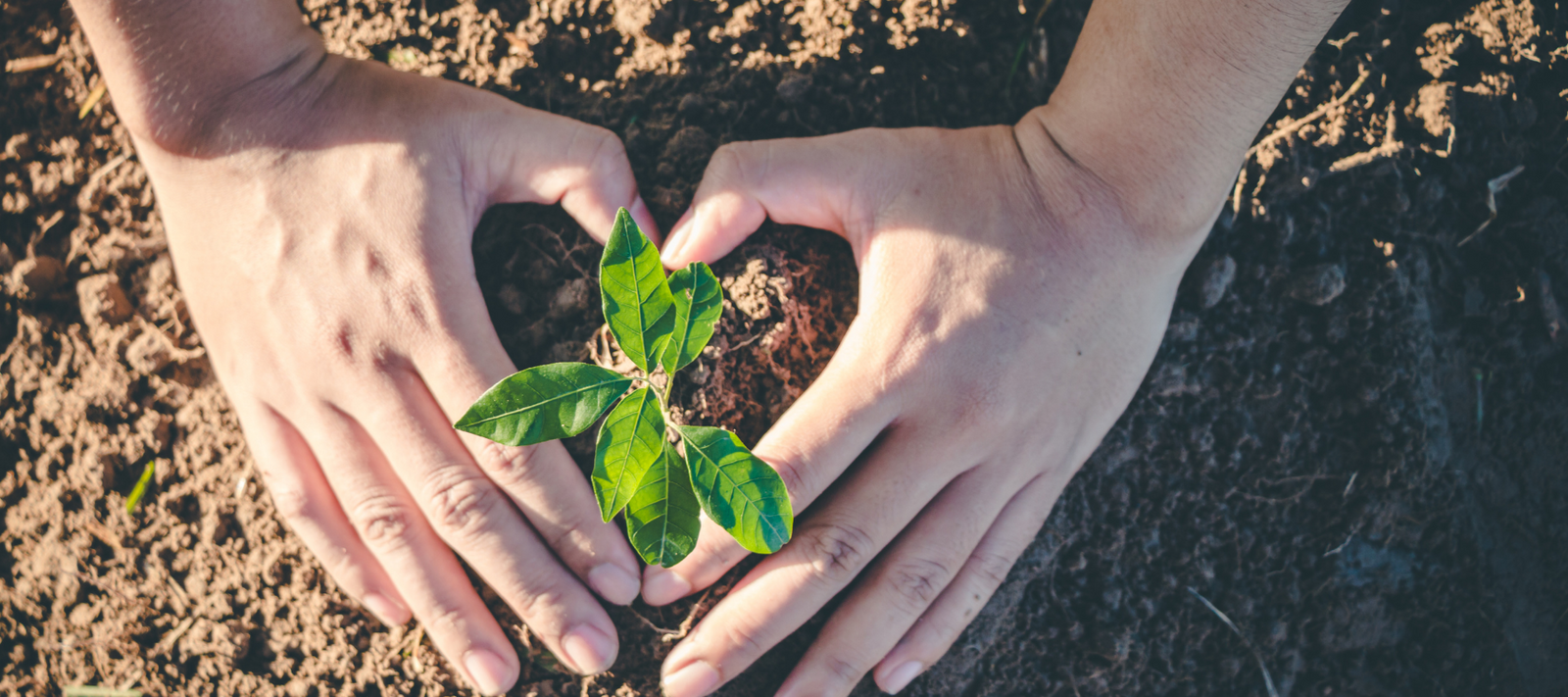 Why Reconnecting With Nature Is So Important For Humanity - The Diggers ...