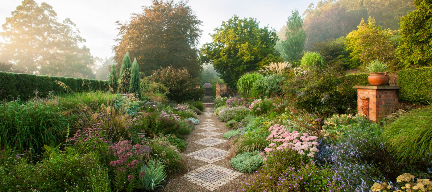 Garden through the lens - The Diggers Club