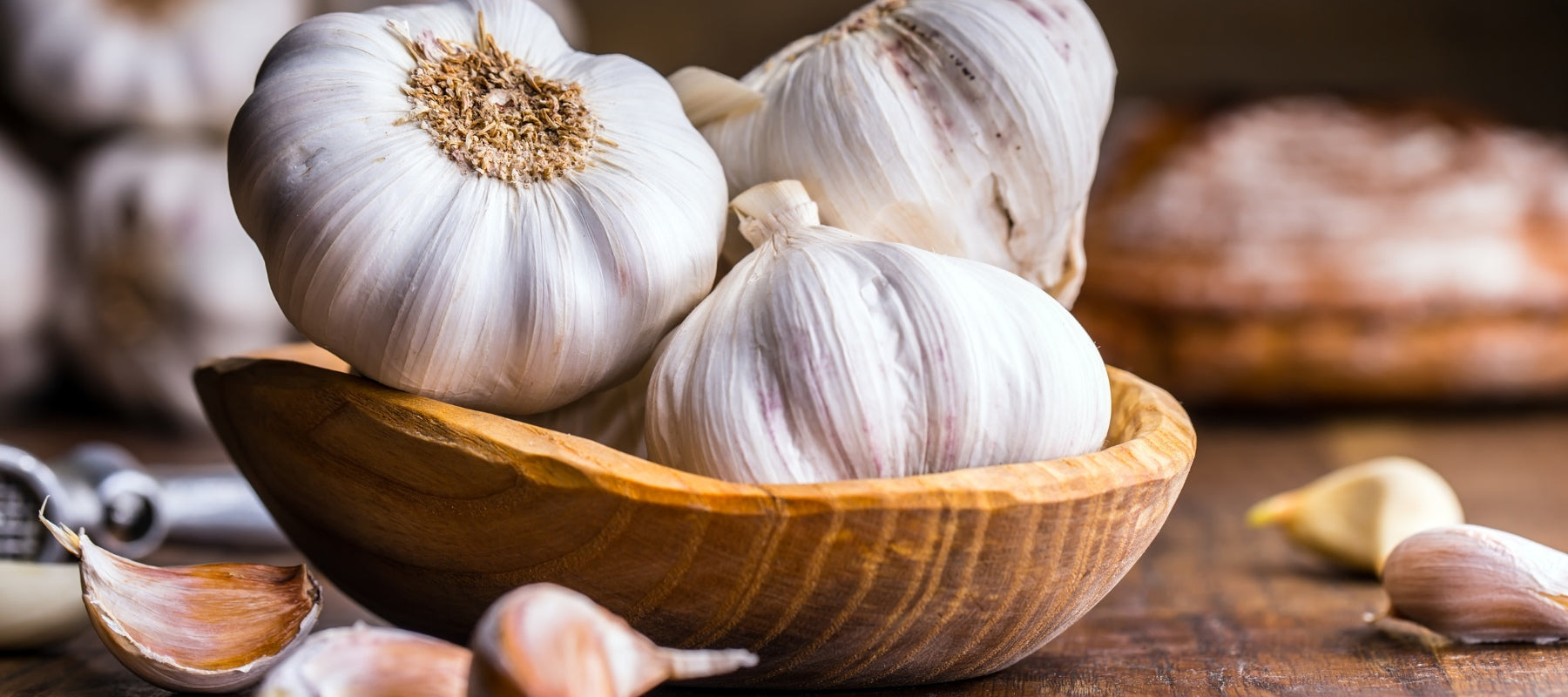 How to Grow Garlic