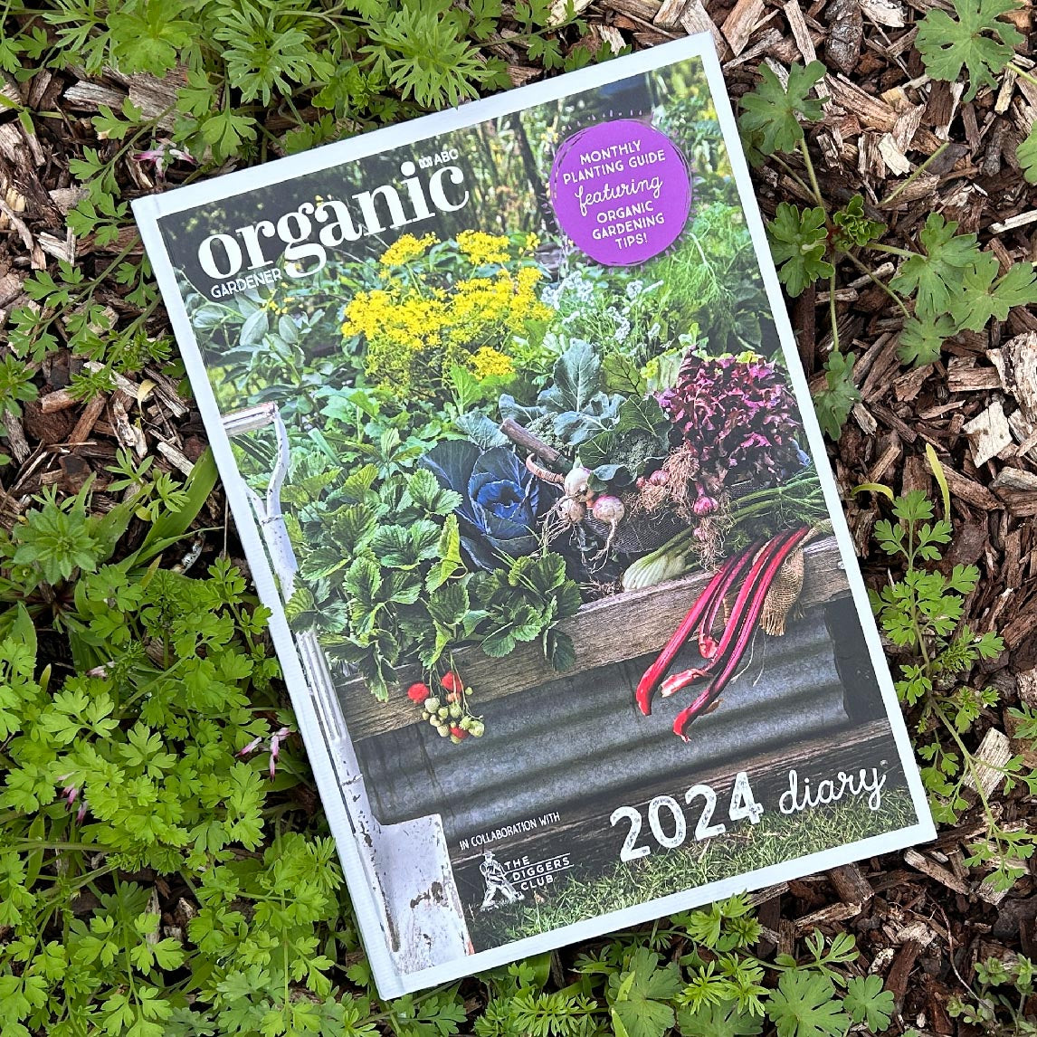 Why is my Rhubarb Green?  Organic Gardener Magazine Australia