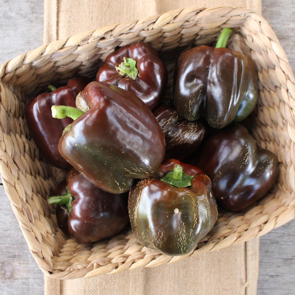 Capsicum 'Sweet Chocolate' (Organic)