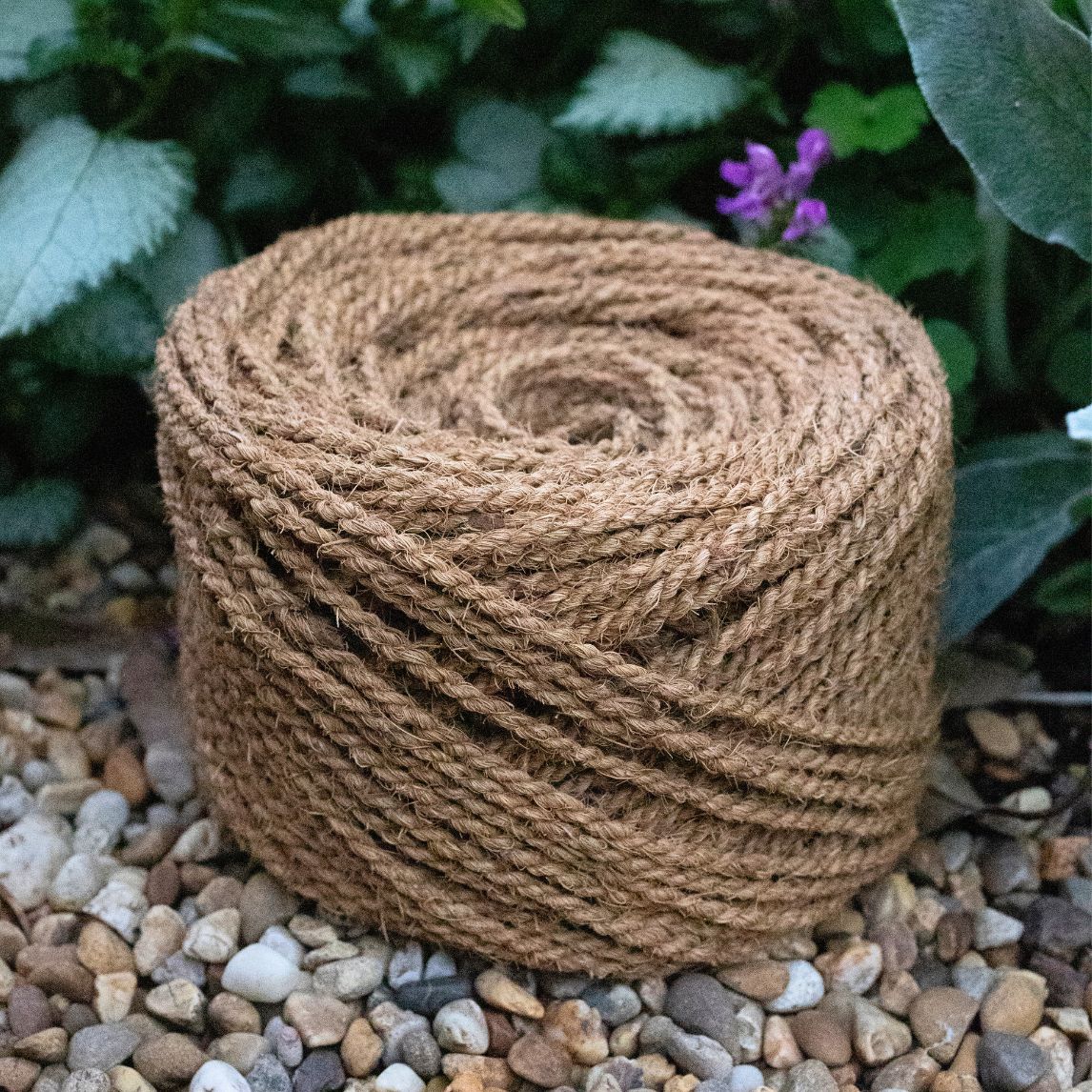 Coconut String 25m