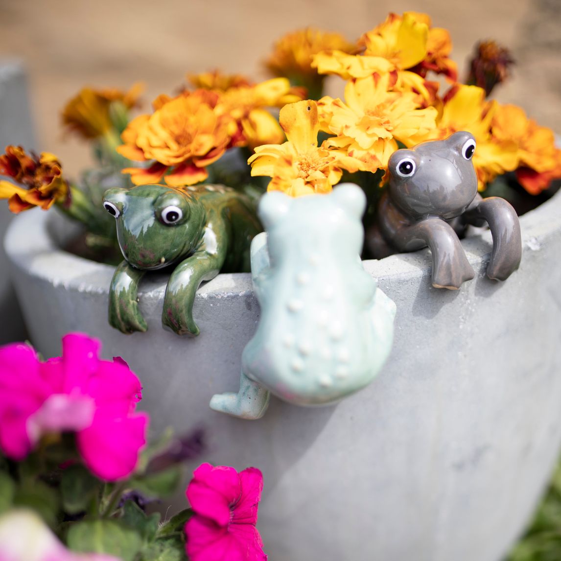 Frog Pot Sitter – Set of 3