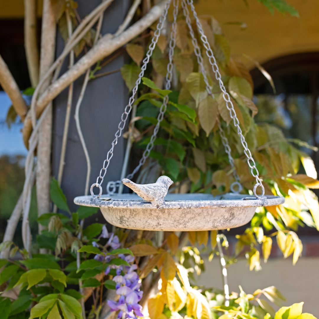 Hanging Bird Feeder