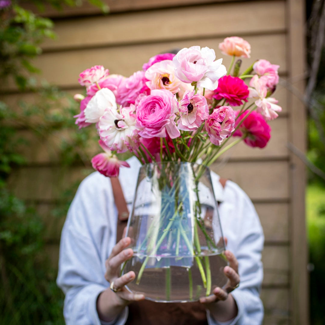 Ranunculus Pastel Shades Mix