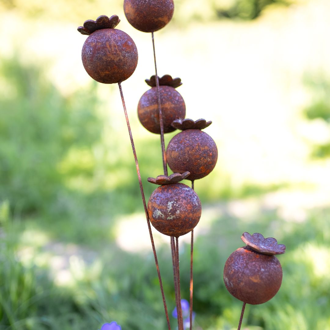 Poppy Head - Rust Stake