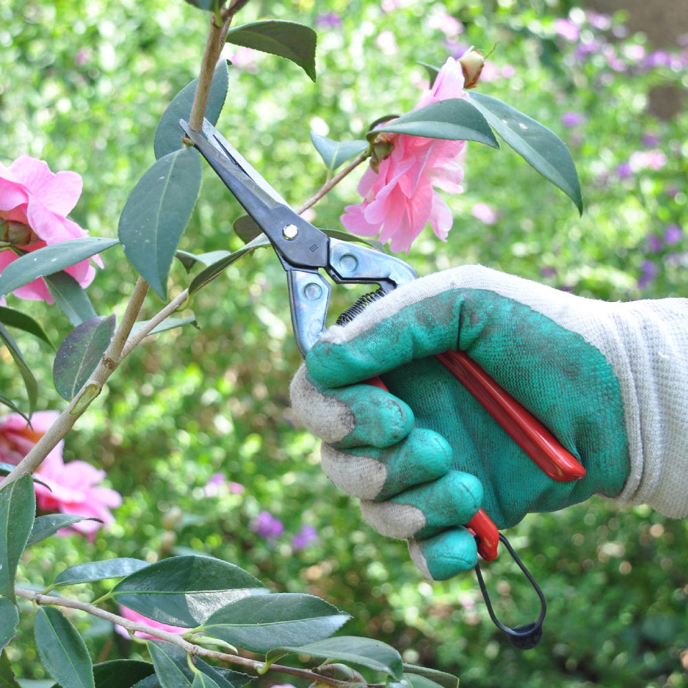 Snips and Secateurs - The Diggers Club