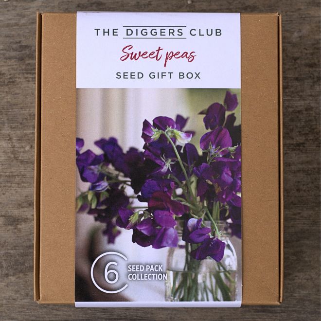 Sweet Pea Gift Box