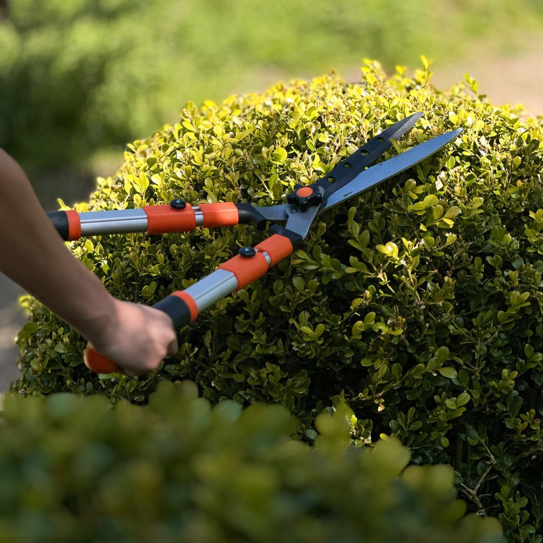 Telescopic Hedge Shears