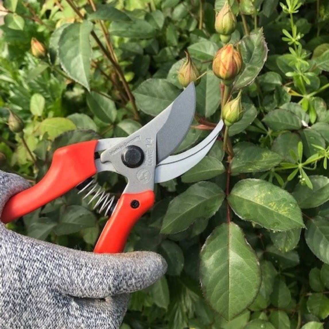 Lowe 14 - Compact Bypass Pruner