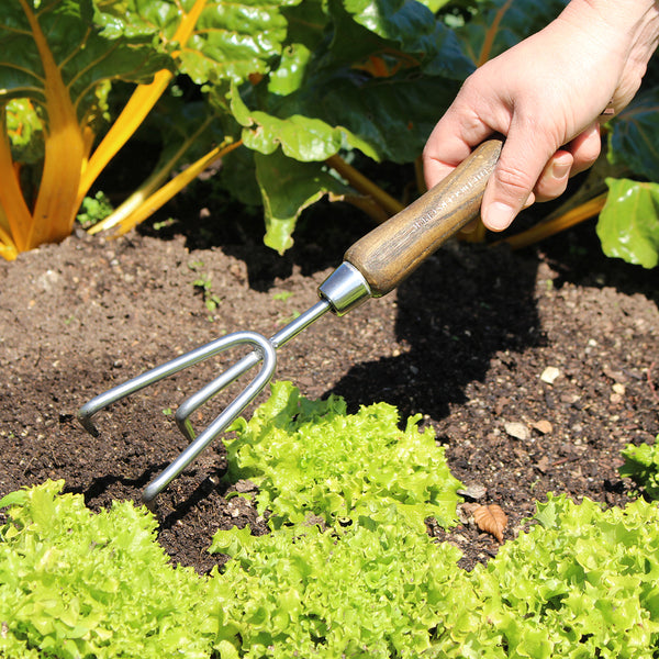 Stainless Steel Hand Cultivator - The Diggers Club