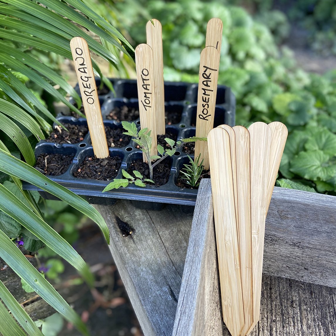 Bamboo Plant Labels The Diggers Club