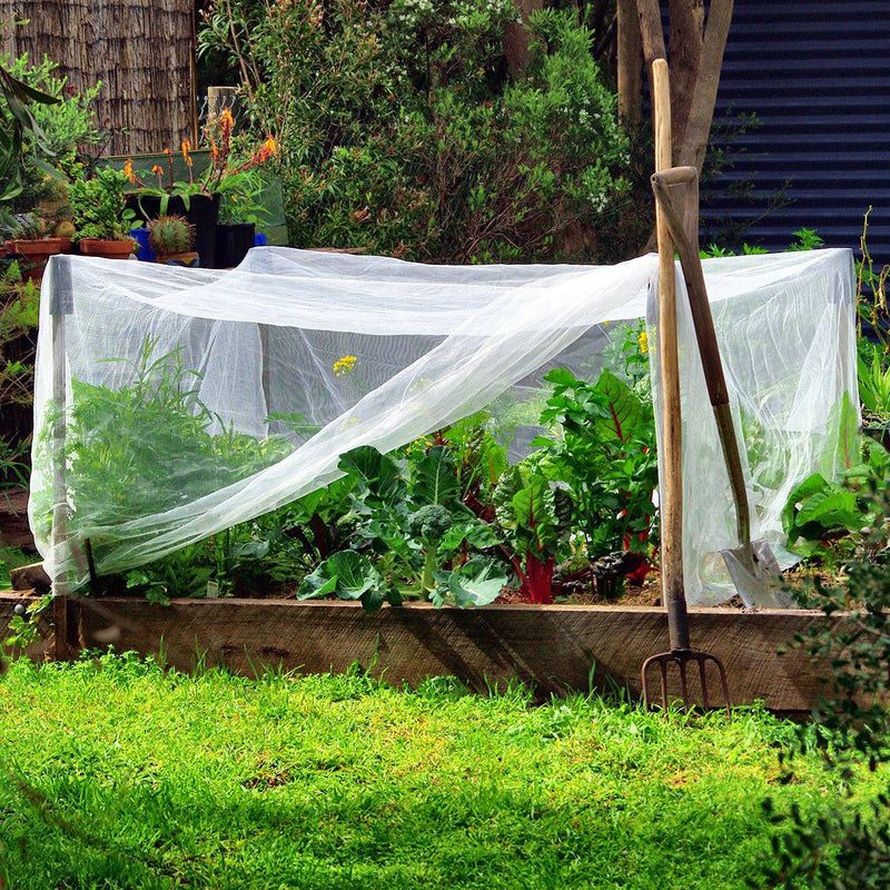 Fine Woven Vegetable Net 5 X 2.9m - The Diggers Club