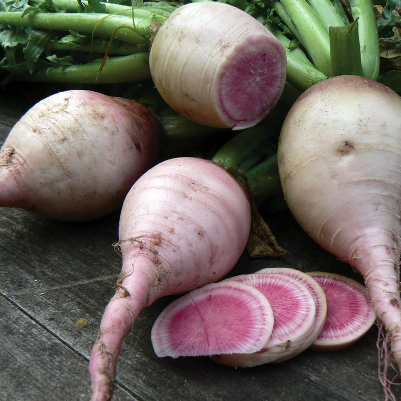 radish-watermelon-the-diggers-club