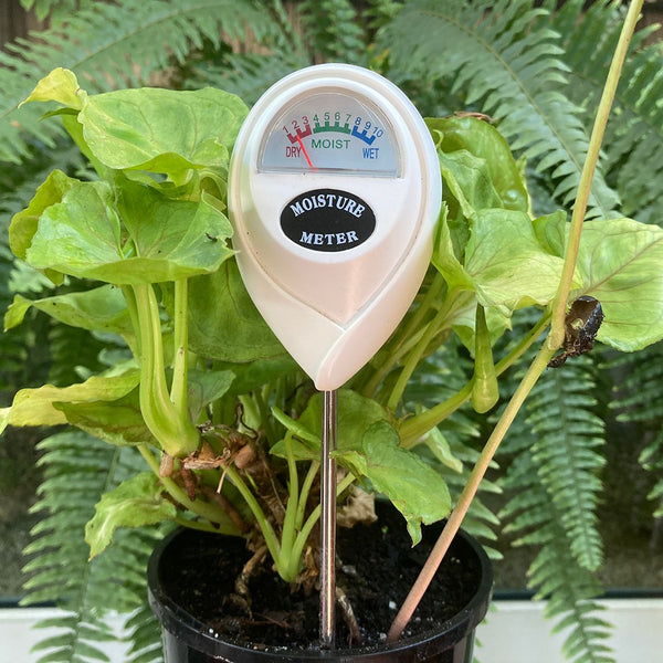 Soil Moisture Meter - The Diggers Club